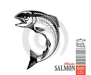 Vector salmon fish illustration