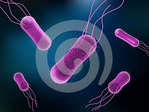 Vector of Salmonella Bacteria for medicine concept