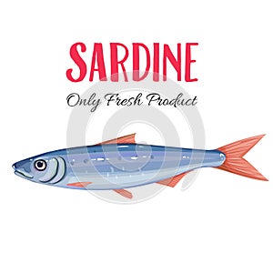 Vector sardine.