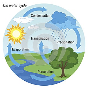 Water Cycle colour photo