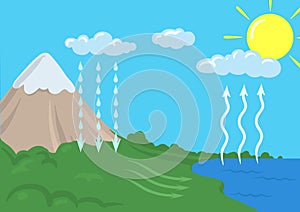 Vector schematic representation of the water cycle in nature. Infographics Illustration.