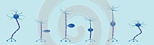 Vector scientific icon neuron structure. Description of the anatomy of the neuron of the brain. Illustration of the structure of a