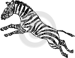 Vector scribble drawing of jumping striped african zebra