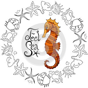 Vector Sea Horse with marine elements and inscription