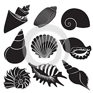 Vector sea shells. Seashell silhouettes set isolated.