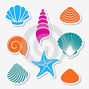 Vector sea shells and starfish labels