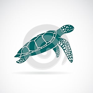 Vector of sea turtle isolated on white background.