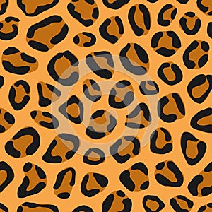 Vector of seamless animal print pattern