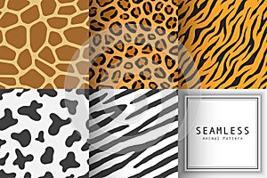 Vector of seamless animal print pattern