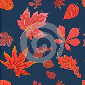 Vector Seamless Autumn fall season patten background floral watercolor style with colorful falling red orange leaves of forest m