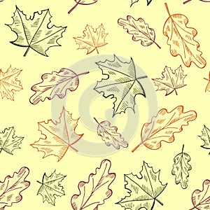 Vector seamless autumn pattern with hand drawn leaves illustrations