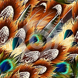 Vector seamless background with colorful feathers