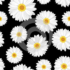 Vector Seamless background with daisy flowers