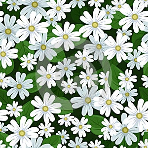 Vector seamless background with stellaria flowers.