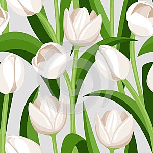 vector seamless background with white tulips.