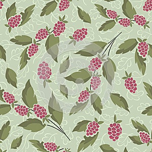 Vector seamless berry pattern with raspberries on foliate twigs on light green background.