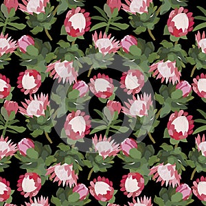 Vector seamless black background with proteas and foliage