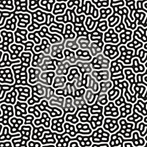 Vector Seamless Black and White Organic Lines Pattern