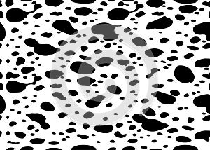 Vector seamless black and white pattern of dalmatian texture repeat. EPS