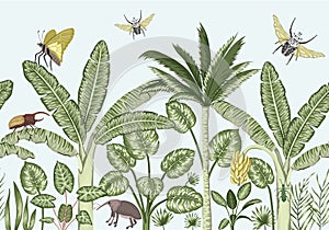 Vector seamless border background with tropical plants and insects.