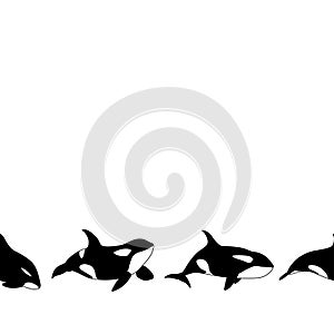 Vector seamless border of graphical killer whale swimming on white background