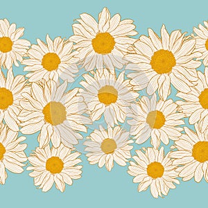 Vector seamless border of yellow and white chamomile flowers on light turquoise