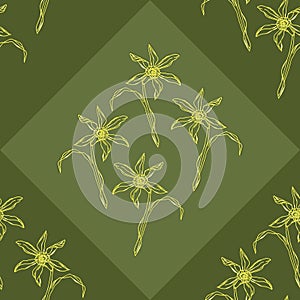 Vector seamless classic geometric diamond shapes pattern with hand drawn blooming narcissus on dark green background.