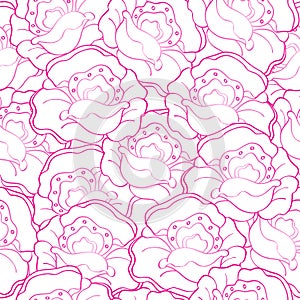 Vector seamless contour pattern with pink poppies