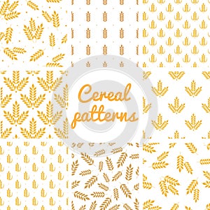 Vector seamless ears of wheat patterns set.