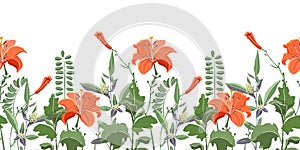 Vector seamless floral border, pattern. Orange color lilies, daylilies, green wormwood, quinoa, coronÃ­lla.