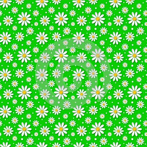 Vector seamless floral pattern with 3d chamomiles