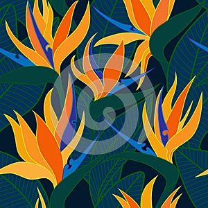 Vector seamless floral pattern with herbaceous plant of strelitzia.