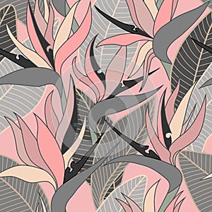 Vector seamless floral pattern with herbaceous plant of strelitzia.