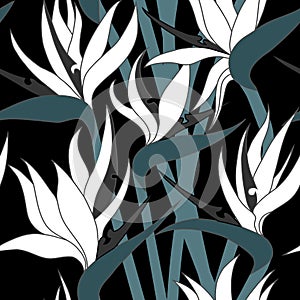 Vector seamless floral pattern with herbaceous plant of strelitzia.