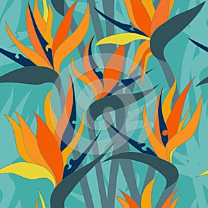 Vector seamless floral pattern with herbaceous plant of strelitzia.