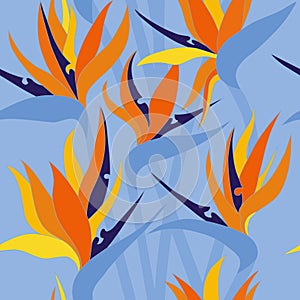 Vector seamless floral pattern with herbaceous plant of strelitzia