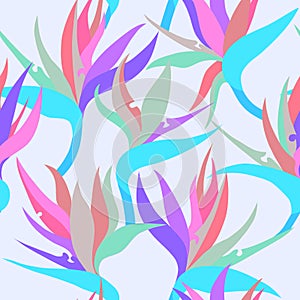 Vector seamless floral pattern with herbaceous plant of strelitzia.