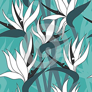 Vector seamless floral pattern with herbaceous plant of strelitzia.