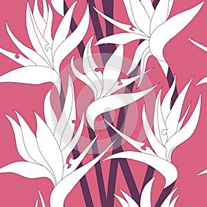 Vector seamless floral pattern with herbaceous plant of strelitzia