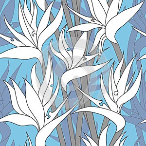 Vector seamless floral pattern with herbaceous plant of strelitzia.