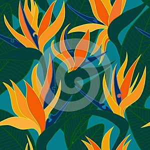 Vector seamless floral pattern with herbaceous plant of strelitzia. photo