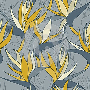 Vector seamless floral pattern with herbaceous plant of strelitzia. photo