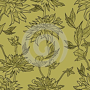 Vector seamless floral pattern with herbarium photo