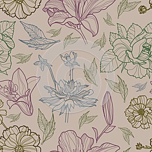 Vector seamless floral pattern with herbarium