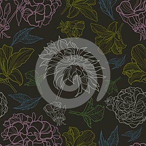 Vector seamless floral pattern with herbarium