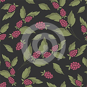 Vector seamless fruity pattern with raspberries on foliate twigs on black background.