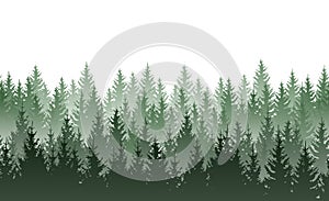 Vector seamless green misty coniferous forest pattern isolated on white background