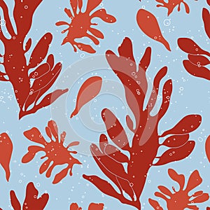 Vector seamless marine pattern with Ulva lactuca seaweed. Edible red algae isolated on blue background.