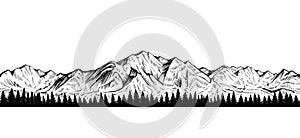 Vector seamless mountain with coniferous forest sketch, endless panorama.