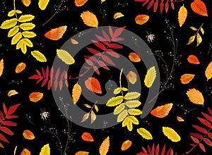 Vector Seamless patten background in watercolor style Autumn fall season colorful orange yellow, red fall leaves of forest